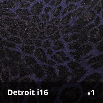 Detroit i16 1